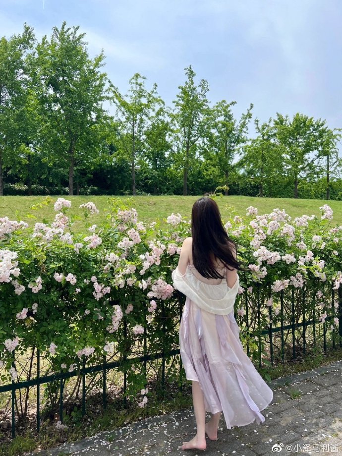 影评配图 · 光影笔记：惊悚 · 离线