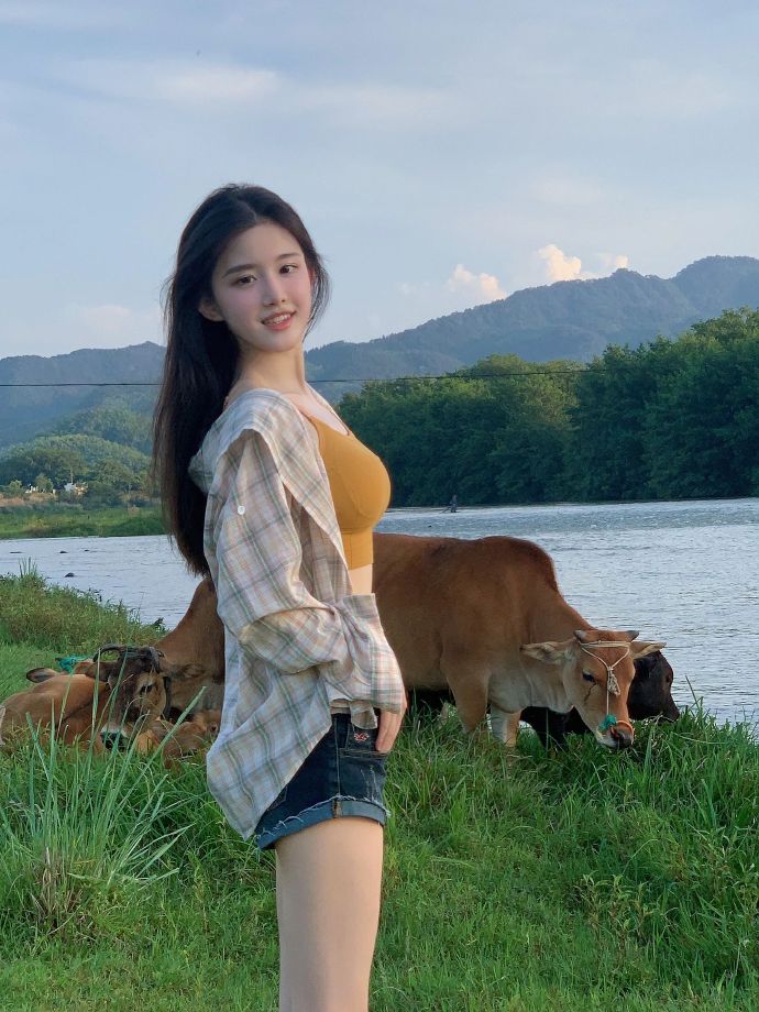小偷家族